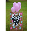 Gender Reveal Doos