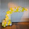 Organische Ballonnen Decoratie 