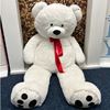 Grote witte teddy beer