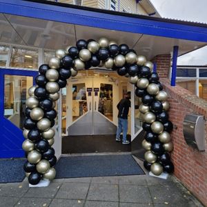 Ballonnenboog Enkele deur met 2 strengen Chrome Ballonnenboog Enkele deur met 2 strengen Chrome