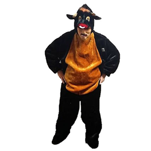 Loop pak Stier
