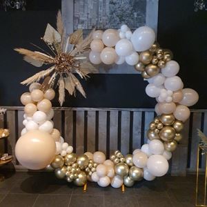 Organische Ronde Ballonnenboog Organische Ronde Ballonnenboog