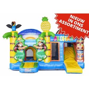 Springkussen Multiplay Hawaii