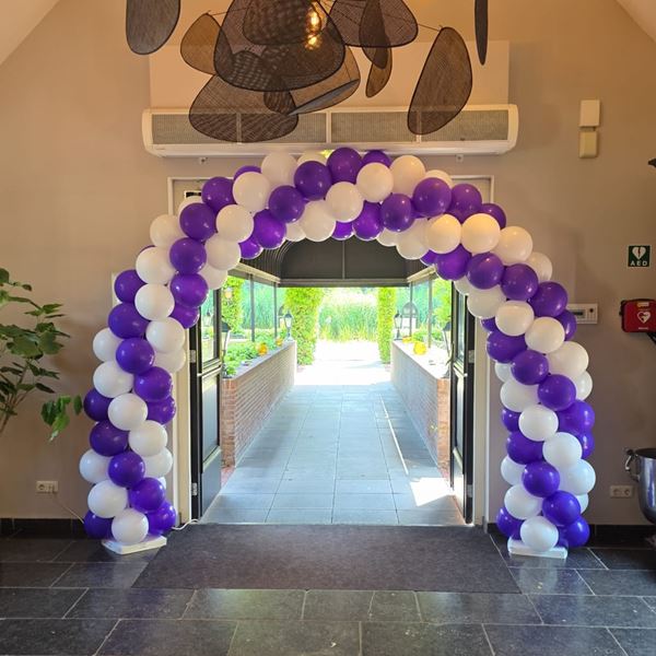 Ballonnenboog Enkele Deur 