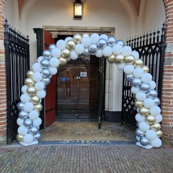 Ballonnenboog 6 meter met 2 strengen Chrome