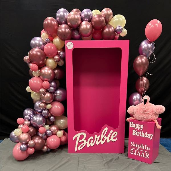 Barbie Box Set