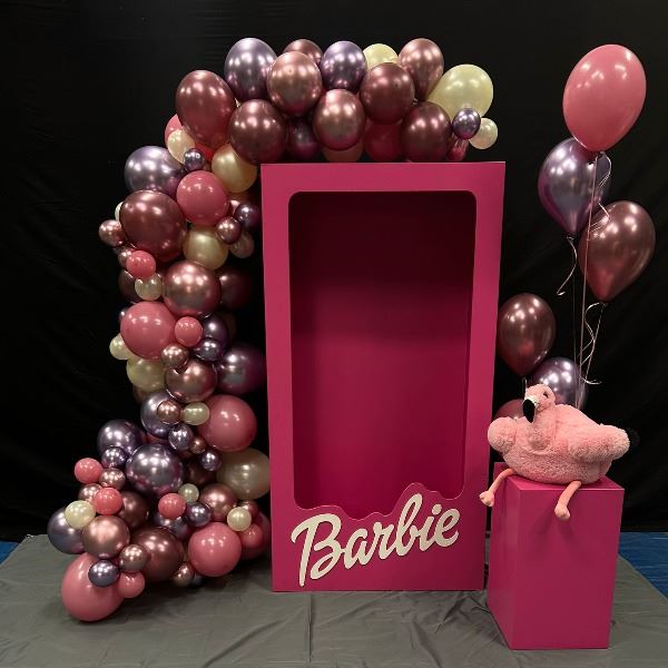 Barbie Box Set