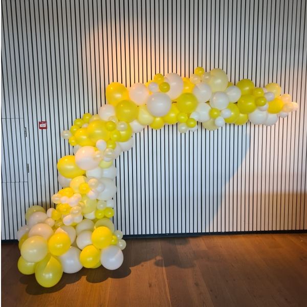 Organische Ballonnen Decoratie 